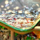 Picture of Y.T